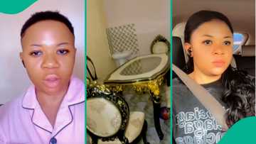 Lady discloses what brought out 5 snakes from her house, video gets attention on TikTok