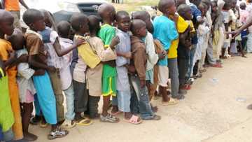 50 almajiris from Kano test positive in Kaduna - El-Rufai