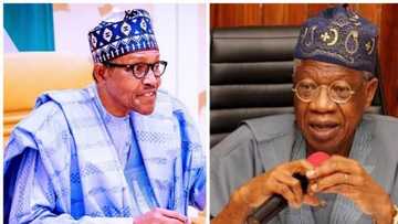 Duk Wanda Suke Sukan Buhari Ya Jahilci Abubuwan Da Cigaba Da Yayi. Lai Mohammed