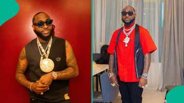 Moment Davido’s bodyguard dealt with fan who touched him trends: “He get luck no be Lahti catch am”