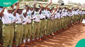 Jubilation as 7 NYSC members get automatic employment