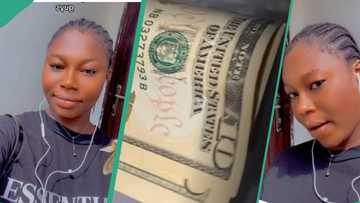 Dollar to naira exchange: Nigerian lady visits BDC with her $10 cash, gets N9,500 in return