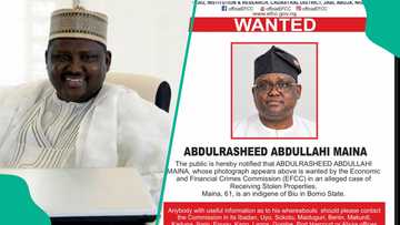 Abu ya girma: EFCC ya ayyana sake neman Abdulrashid Maina ruwa a jallo, ta fadi dalili