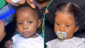 "But why?" Hairstylist installs frontal wig on little child, netizens fume as video trends