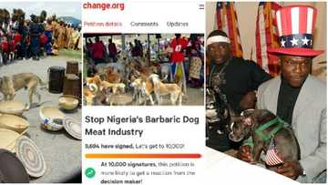 Calabar people no go gree: Reactions as petition to ban eating of dogs in Nigeria gets over 9000 signatures