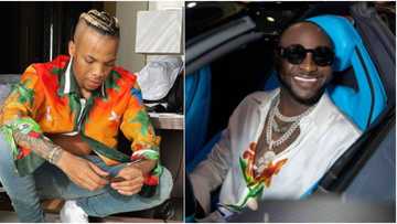 Hope you didn't write songs for him? Daniel Regha asks Tekno as singer threatens Davido over his new album