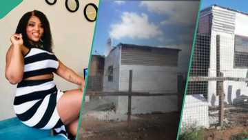 Lady leaves cement blocks, builds 1 room with roofing sheets, celebrates her achievement
