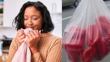 Nigerian lady living in UK laments after buying small sized pepper for N3,000, video goes viral