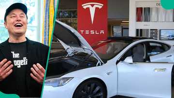 Elon Musk shuns Nigeria, opens Tesla office in another African country