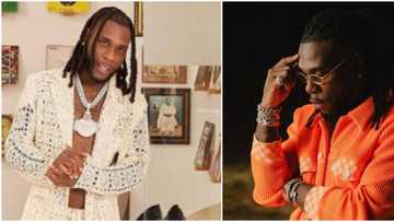 Odogwu don chop breakfast: Fans react as Burna Boy says he's ready to pay any amount to become emotionless