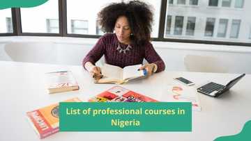 20+ professional courses in Nigeria to land your dream job in 2024