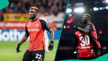 Boniface receives widespread praise after achieving major milestone for Bayer Leverkusen