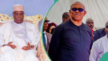 2027 election: Growing concern in ADC over Atiku, Peter Obi’s ambitions, details emerge