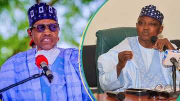 “How I used Villa rat invasion story to cover for Buhari’s Illness,” Garba Shehu explains