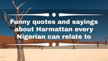 Funny quotes and sayings about Harmattan every Nigerian can relate to