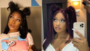 Beauty and Brains: Megan Thee Stallion set to graduate from college soon