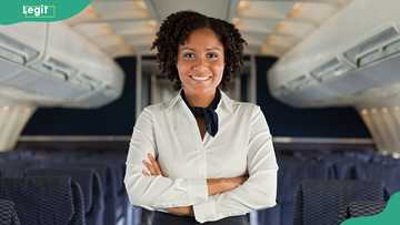 Flight Attendant Salary in Nigeria: How Much Do Domestic and International Cabin Crew Earn?