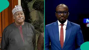 ‘Shut up’: Buhari's ex-appointee Babachir Lawal slams presenter on live TV, video goes viral