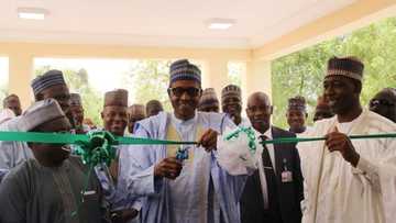 Baba Oyoyo-Baba Oyoyo: Yadda Mutanen Maiduguri Suka Tarbi Shugaban Ƙasa Buhari