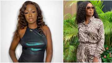 I was owed for months and fired for speaking up for my rights, Tolani Baj shares work experience with record label