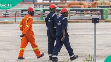 Dangote announces new job vacancies for graduates, ND holders