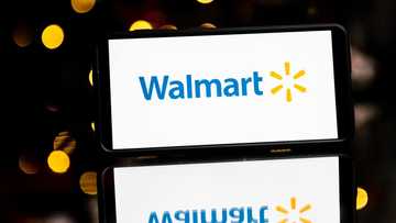 Steuart Walton : Biographie et fortune du directeur de Walmart