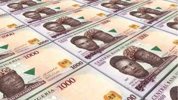 An samu 'sa hannun' mace a kan takardar Naira a karo na farko a tarihin Najeriya