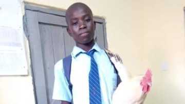 Young student who had taken fowl to school to pay up his debt of N128k gets scholarship