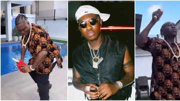 Video as Zlatan scatters dance in Igbo traditional attire, Davido and others react: "Agba content creator"