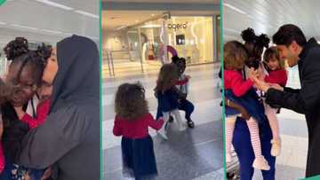 "She's so beautiful": Cute video as nanny Rosie finally returns to her Lebanon boss in lovely style