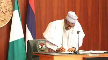 2019: Za mu sakawa wadanda suka yiwa jam'iyya hidima - Buhari ga magoya bayansa