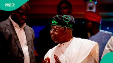New Year: Full text of Tinubu's 2026 message to Nigerians