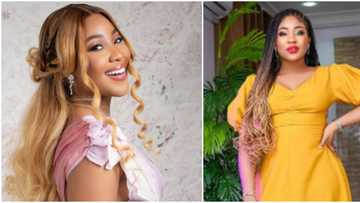 You can't get rid of me: BBNaija's Erica compares herself to a miraculous palm tree, Nigerians react