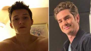 Tom Holland, Andrew Garfield and Tobey Maguire recreate Spiderman meme, fans here for it