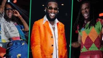 Burna Boy's SA Concert: Ternary Media Group reveals CFO Gregory Wings sold 6,000 fraudulent tickets