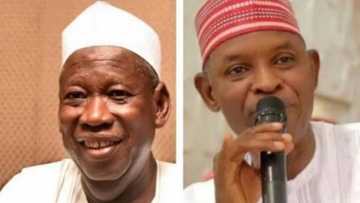 Kano: An zabi Ganduje ne da haramtattun kuri'u - Abba Gida-Gida