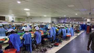 OIKOCREDIT Invest USD$3.5m in Valency Agro Nig. Ltd. to Expand Cashew Processing and Export, Support Girl Child Education