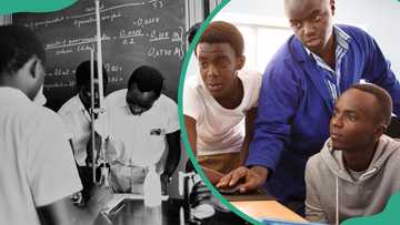 Demonstration method of teaching: definition and advantages