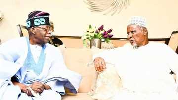 2023: Elder statesman Yakasai confirms Tinubu’s presidential ambition, opens up on APC leader's visit