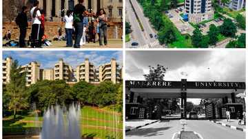 2023 Ranking: List of top 10 best universities in Sub-Saharan Africa