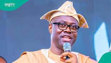 "Don’t stoop low": Historian reacts as Seyi Makinde reappoints monarch deposed by Supreme Court