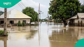 Flood alert: Federal Govt names 24 states, FCT at risk
