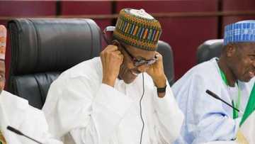 Buhari ya aminta da ba masana'antar nishadi tallafin N7bn