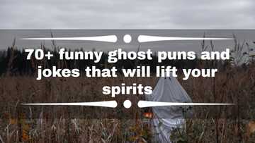 70+ funny ghost puns and jokes that will lift your spirits