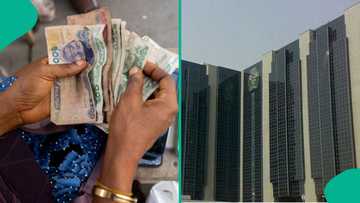 Ana neman CBN ya kawo sababbin takardun kudin N10,000 da N20,000 a Najeriya