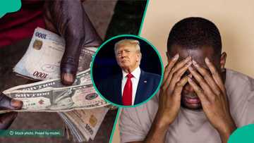 Naira crashes against US dollar to new exchange as Trump’s America first policy begins