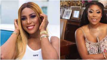 Linda Ikeji, Mo Abudu, 8 others test popularity in battle to win female entrepreneur award