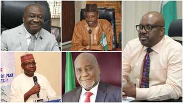 Year in Review: Full list of 5 prominent political appointees President Buhari sacked in 2020