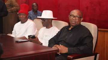 Peter Obi cries out, says INEC refuses to provide 70% of electoral documents