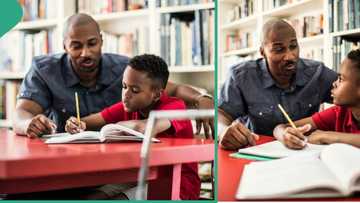 Nigerian graduate packs out of compound as neighbours' children floods his room with home works